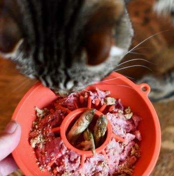 Bol ralentisseur interactif en forme de kiwi passion rouge pour animaux - Dog's Crush