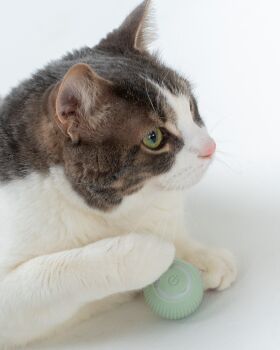 Boule verte sauge rotative intelligente et interactive pour chats - Dexypaws