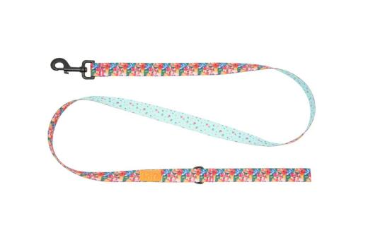Laisse éco motif Dainty Mint pour animaux - RC Pets