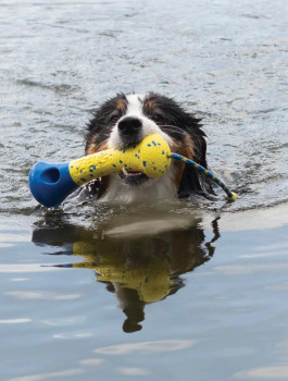 Bouée avec corde Nitro lestée et flottante avec noyaux en caoutchouc pour chiens - Zeus