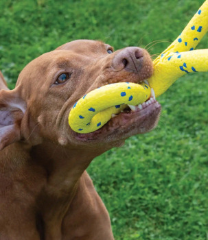 Anneau en 8 à tirer Nitro lesté et flottant avec noyaux en caoutchouc pour chiens - Zeus