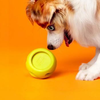 Jouet Boomerang à empiler et remplir pour chiens - WagLab