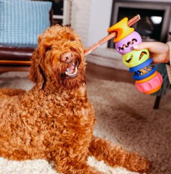 Jouet Boomerang à empiler et remplir pour chiens - WagLab