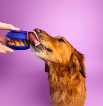 Jouet Slobber à empiler et remplir pour chiens - WagLab