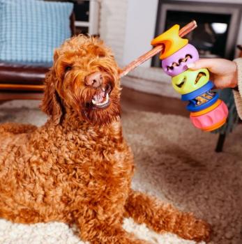 Jouet Slobber à empiler et remplir pour chiens - WagLab