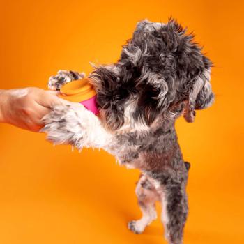 Jouet Le Spinner à empiler et remplir pour chiens - WagLab