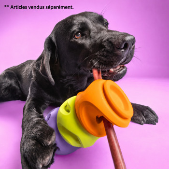 Jouet Bully à empiler et enfiler un bâton pour chiens - WagLab