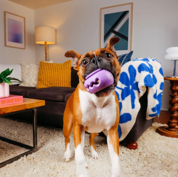 Jouet Squiggle à empiler et remplir pour chiens - WagLab