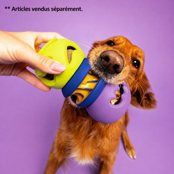 Jouet Squiggle à empiler et remplir pour chiens - WagLab