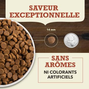 Nourriture sans grains pour chiens bœuf avec citrouille - ACANA Singles