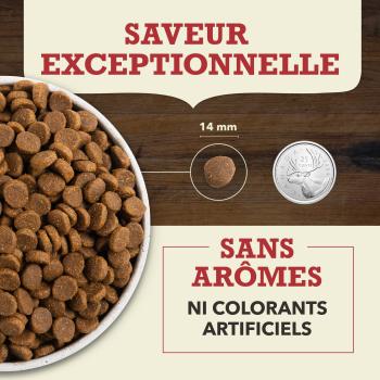Nourriture sans grains pour chiens à la viande rouge - ACANA