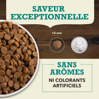 Nourriture sans grains pour chiens aux poissons d’eaux froides - ACANA