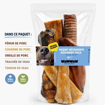 Sac découverte de mastication assorties pour chiens - Wawwaw