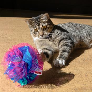 Ensemble de balles fluff Crackles pour chats - Kong