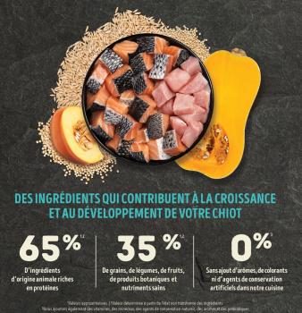 Nourriture pour chiots mer et champ - ACANA Grains Santé
