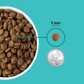 Nourriture pour chiots mer et champ - ACANA Grains Santé