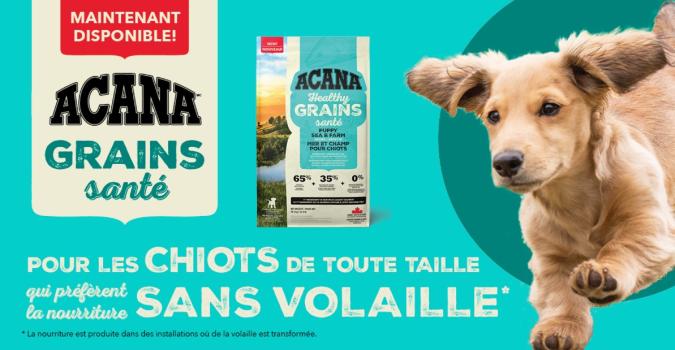 Nourriture pour chiots mer et champ - ACANA Grains Santé