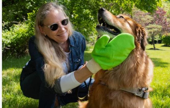 Gant anti tiques réutilisable pour animaux - TiCK MiTT