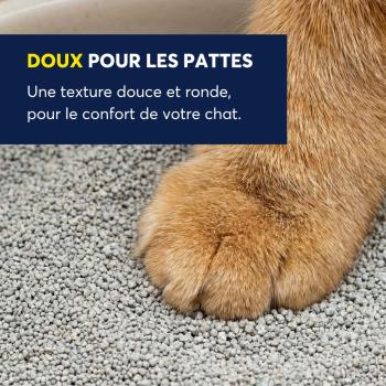 Boite de litière agglomérante légère et parfumé Odourlock pour chats - Intersand
