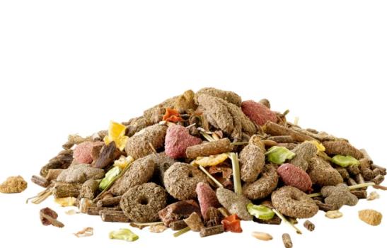 Nourriture Crispy Muesli pour lapin nain adulte - Versele-Laga
