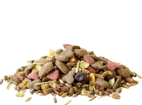 Nourriture Crispy Muesli Cavia pour cochon d'inde - Versele-Laga
