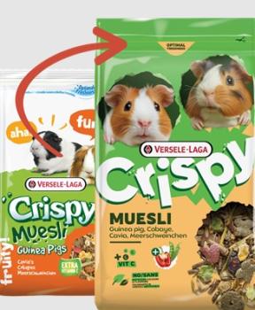 Nourriture Crispy Muesli Cavia pour cochon d'inde - Versele-Laga
