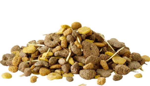 Mélange savoureux et croustillant riche en fibres Crispy Snack pour petits animaux - Versele-Laga