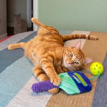 Peluche Sport picklepaw pour chats - Kong