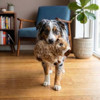 Peluche Comfort Wuzzeez en forme de capybara pour chiens - Kong
