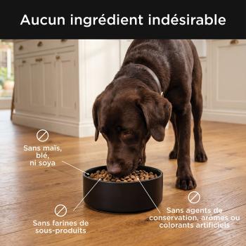 Nourriture pour chien au bœuf avec grains - Go! Skin + Coat Care
