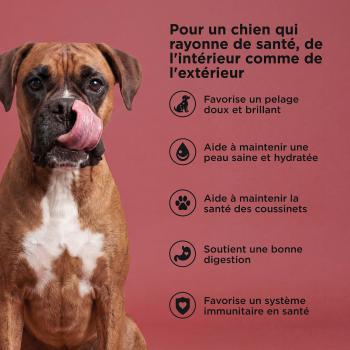 Nourriture pour chien au bœuf avec grains - Go! Skin + Coat Care
