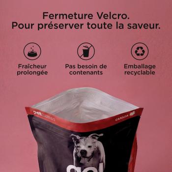 Nourriture pour chien au bœuf avec grains - Go! Skin + Coat Care