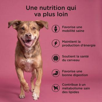 Nourriture pour chiens au saumon et canard - Go! Healthy Aging