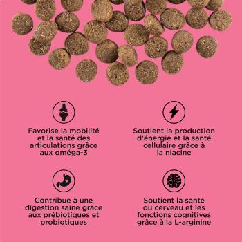 Nourriture pour chiens au saumon et canard - Go! Healthy Aging