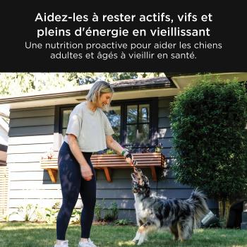 Nourriture pour chiens au saumon et canard - Go! Healthy Aging