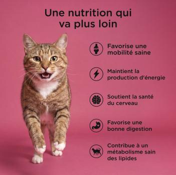 Nourriture pour chats sans grain au saumon et canard - Go! Healthy Aging