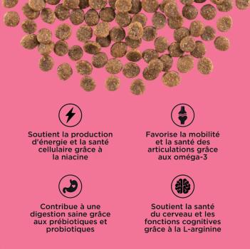 Nourriture pour chats sans grain au saumon et canard - Go! Healthy Aging