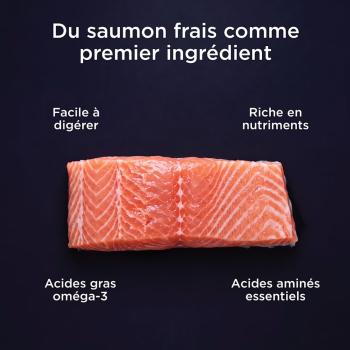 Nourriture pour chats sans grain au saumon et canard - Go! Healthy Aging
