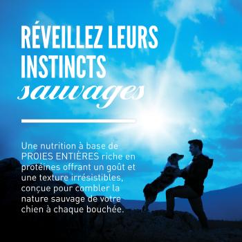 Nourriture Wild Reserve au poulet pour chiens - Orijen