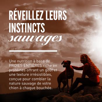 Nourriture Wild Reserve au bœuf et agneau pour chiens - Orijen