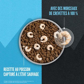 Nourriture Wild Reserve au poisson pour chiens - Orijen
