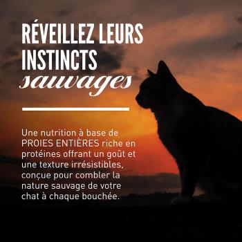 Nourriture Wild Reserve au poulet et poisson pour chats - Orijen