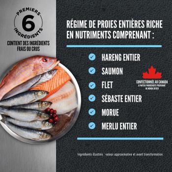 Nourriture Wild Reserve au poisson pour chats - Orijen