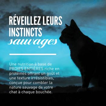 Nourriture Wild Reserve au poisson pour chats - Orijen