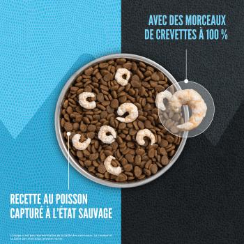 Nourriture Wild Reserve au poisson pour chats - Orijen