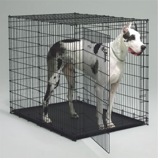 D1744 - Cage de métal noir pour chiens géants
