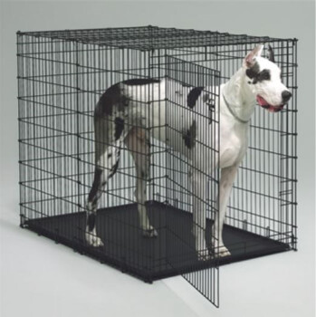 Cage de métal noir pour chiens géants