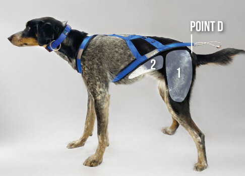 Harnais de traction pour chiens réfléchissant Pro X-Back noir - Nahak 
