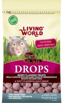 Hg60306 - Gâteries aux Baies Sauvage pour Hamster 75gr- Living World