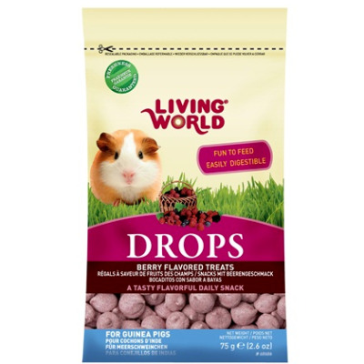 Hg60406 - Gâteries aux Baies Sauvage pour Cochon d'Inde 75gr- Living World